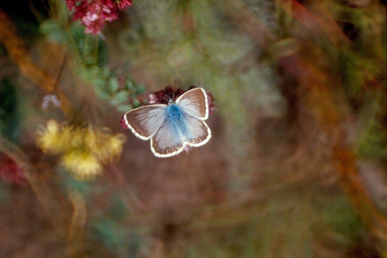 la magie des couleurs