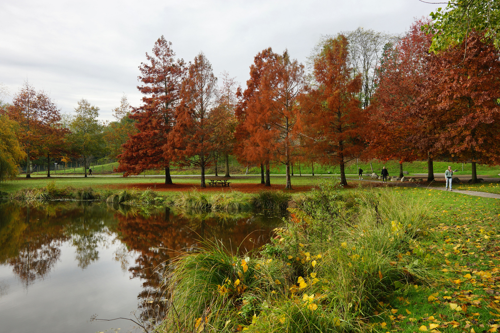 la magie des couleurs