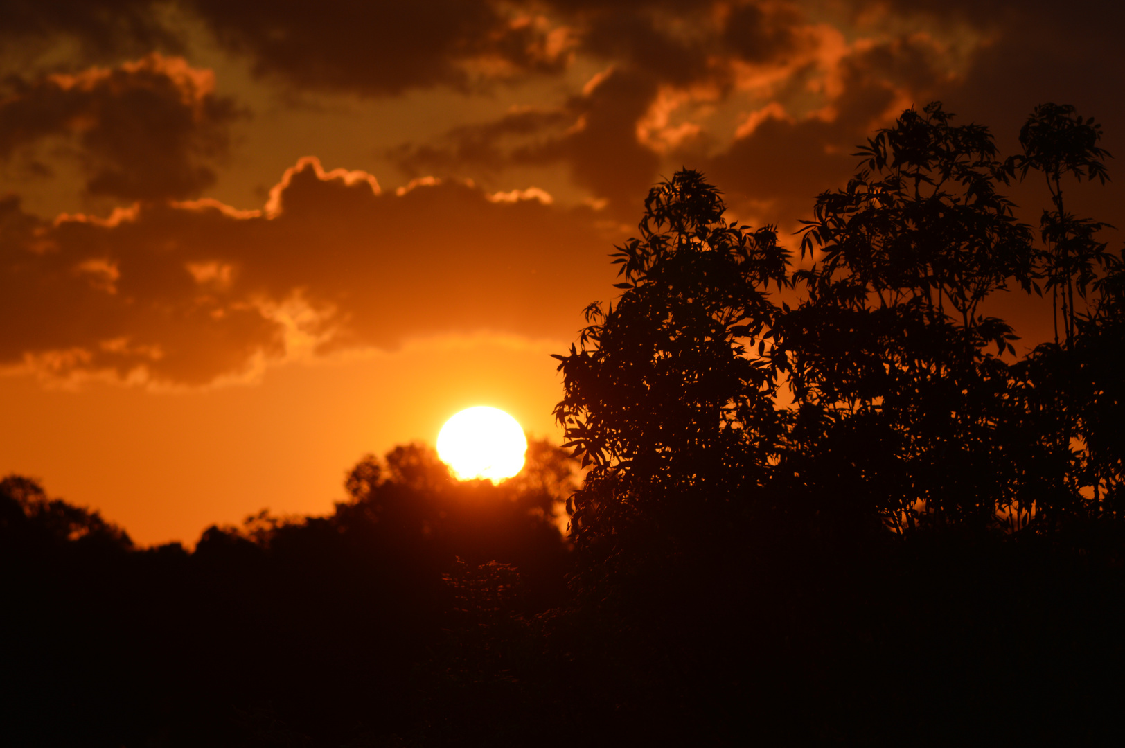 La Magie du Ciel #2