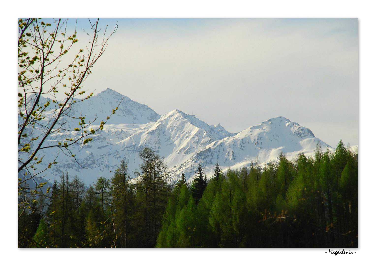 La magie du printemps