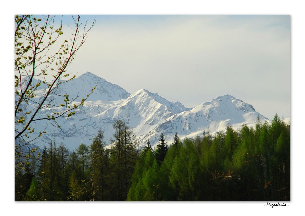 La magie du printemps