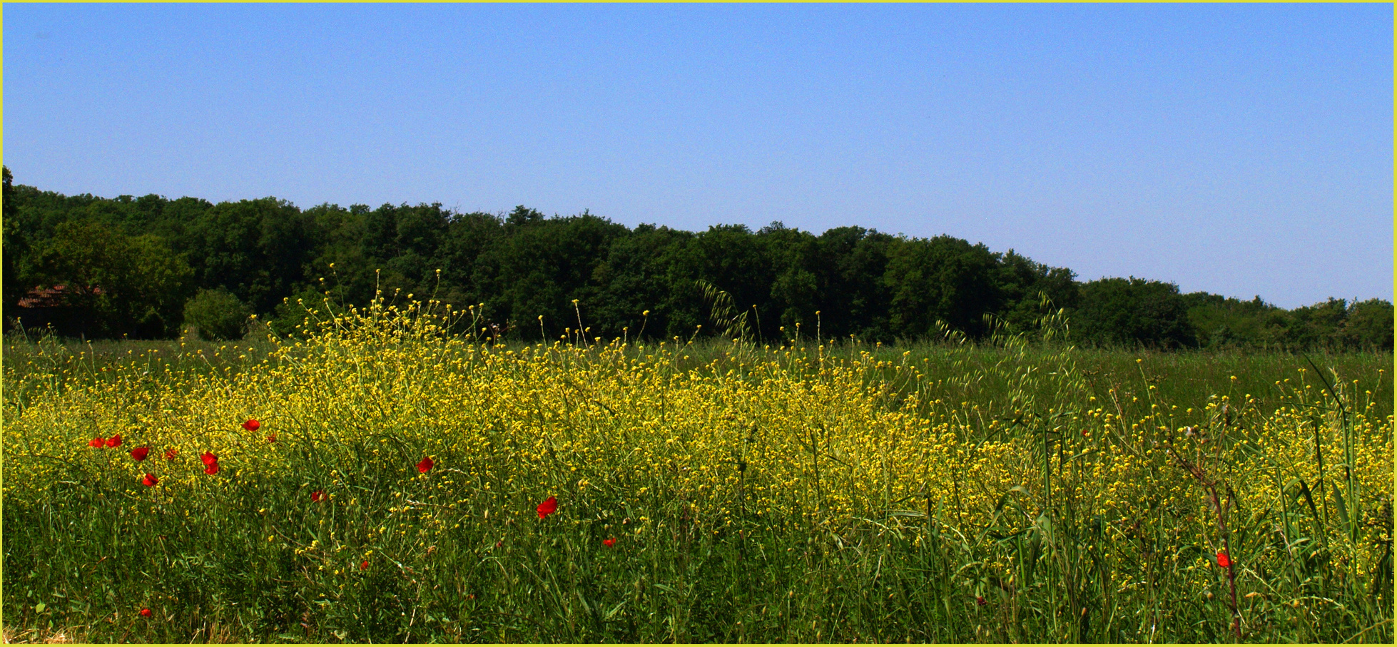 La magie du printemps