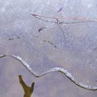 La main de glace