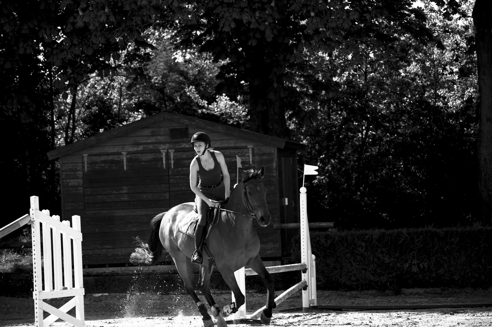 la mairie du galop...