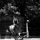 la mairie du galop...