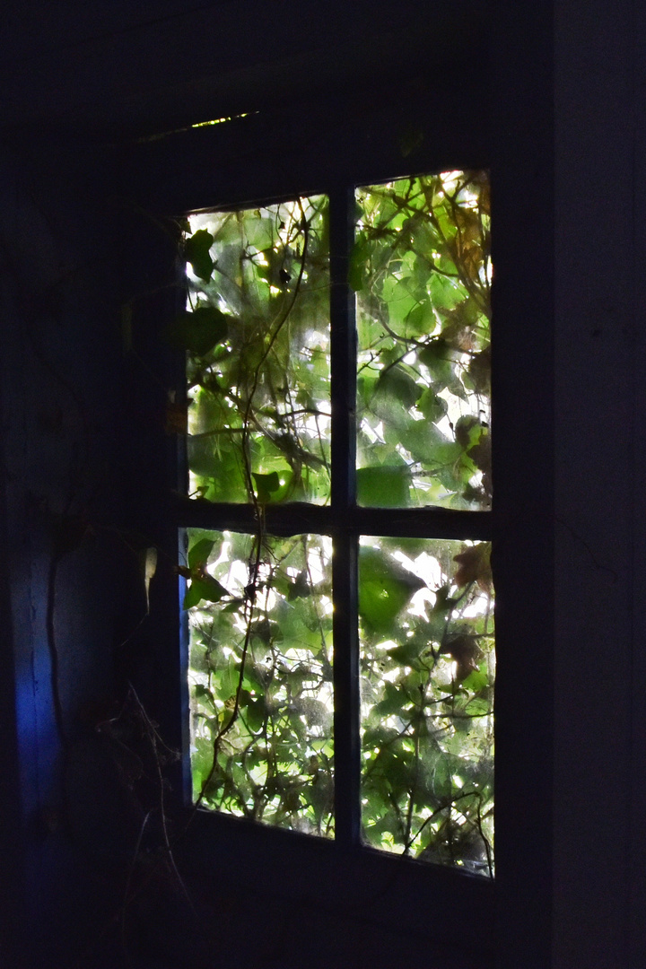 La maison abandonnée