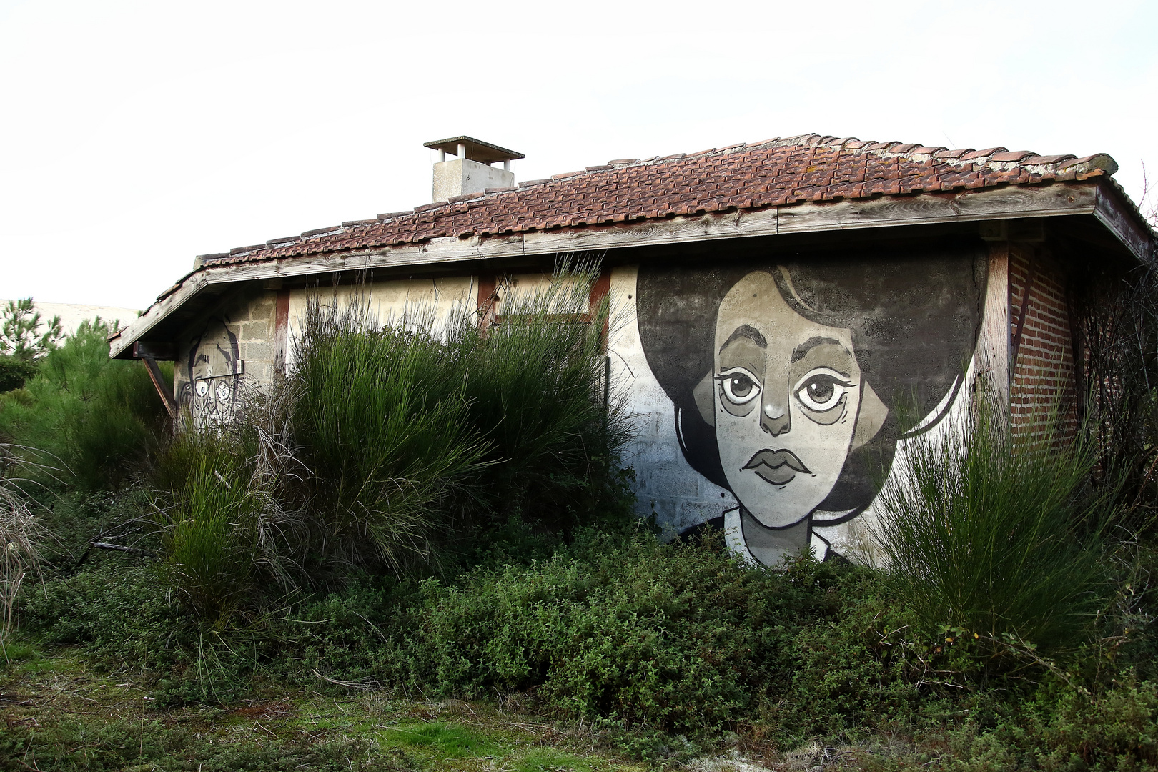 la maison abandonnée !