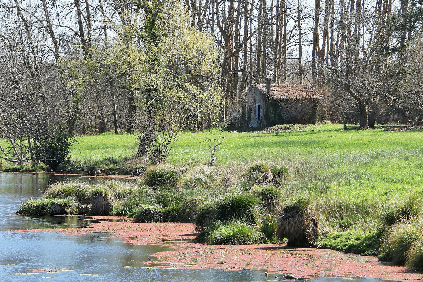 la maison abandonnée !