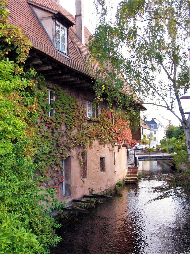 La maison au bord de la rivière