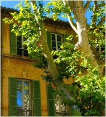 La maison au platane