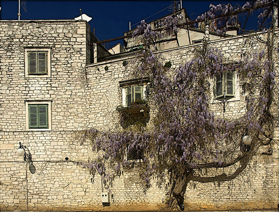 La maison avec la glycine .... Das Haus mit dem Blauregen ...