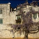 La maison avec la glycine .... Das Haus mit dem Blauregen ...