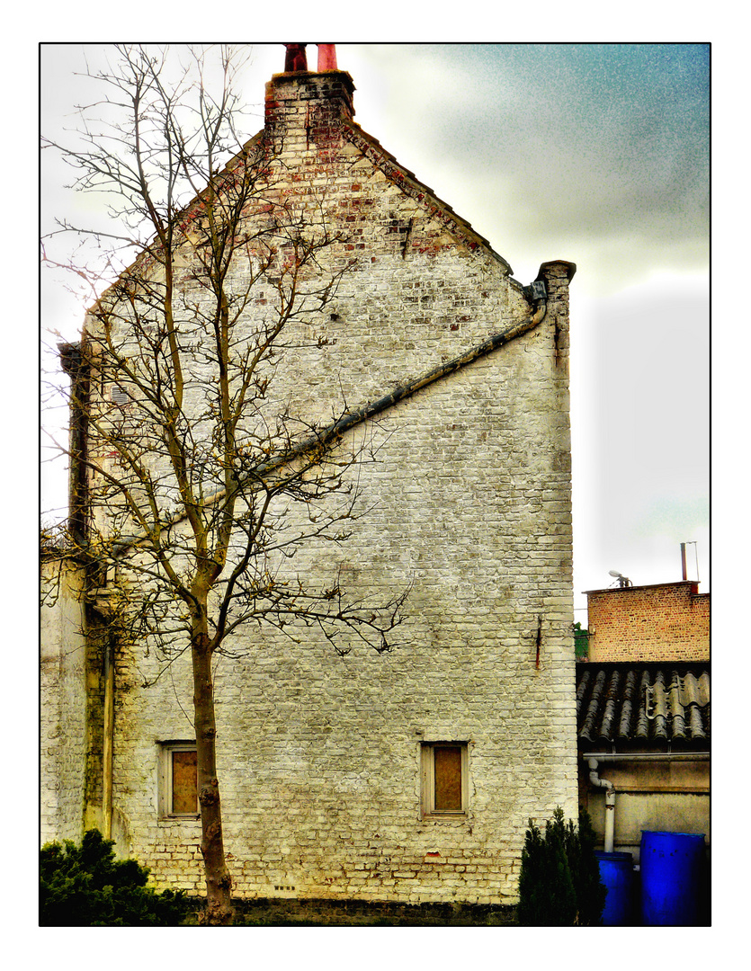 La maison blanche et l'arbre