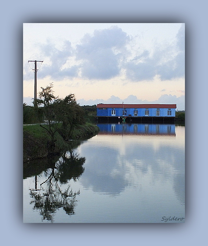 La maison bleue