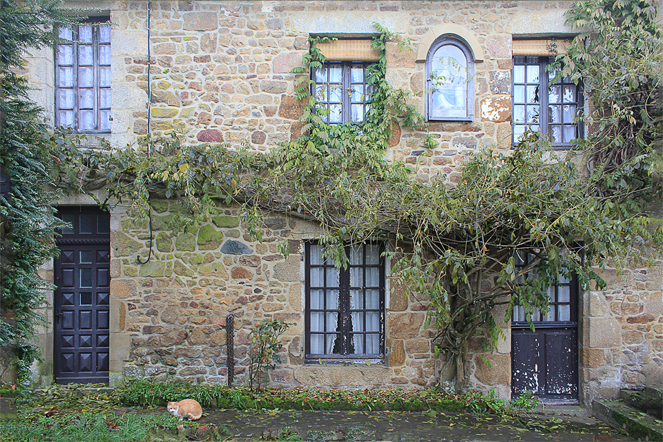 la maison bleue et le chat