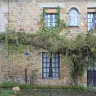 la maison bleue et le chat