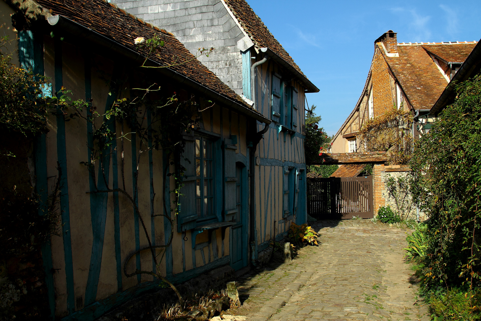 La Maison bleue