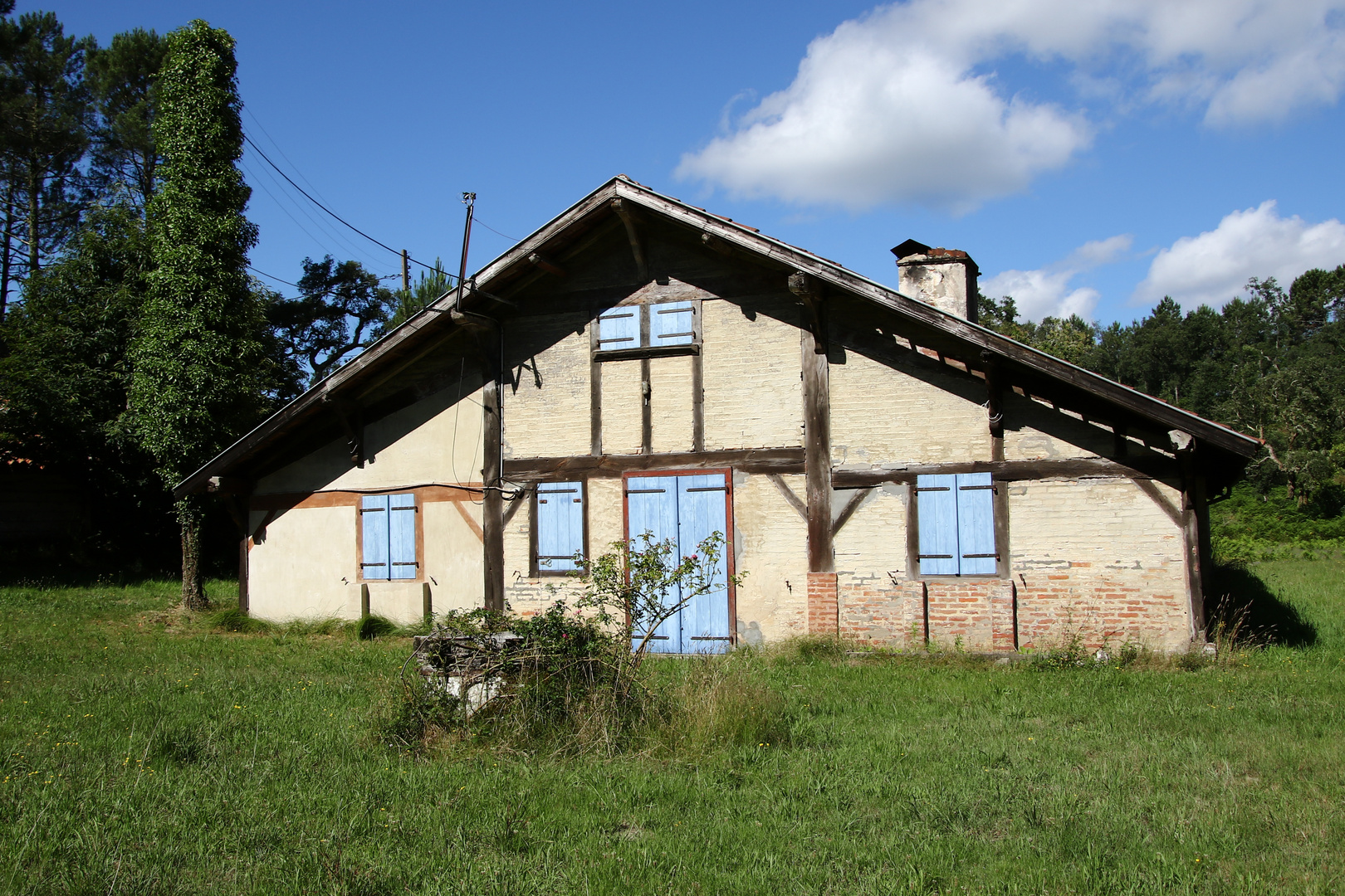 La maison dans la nature !