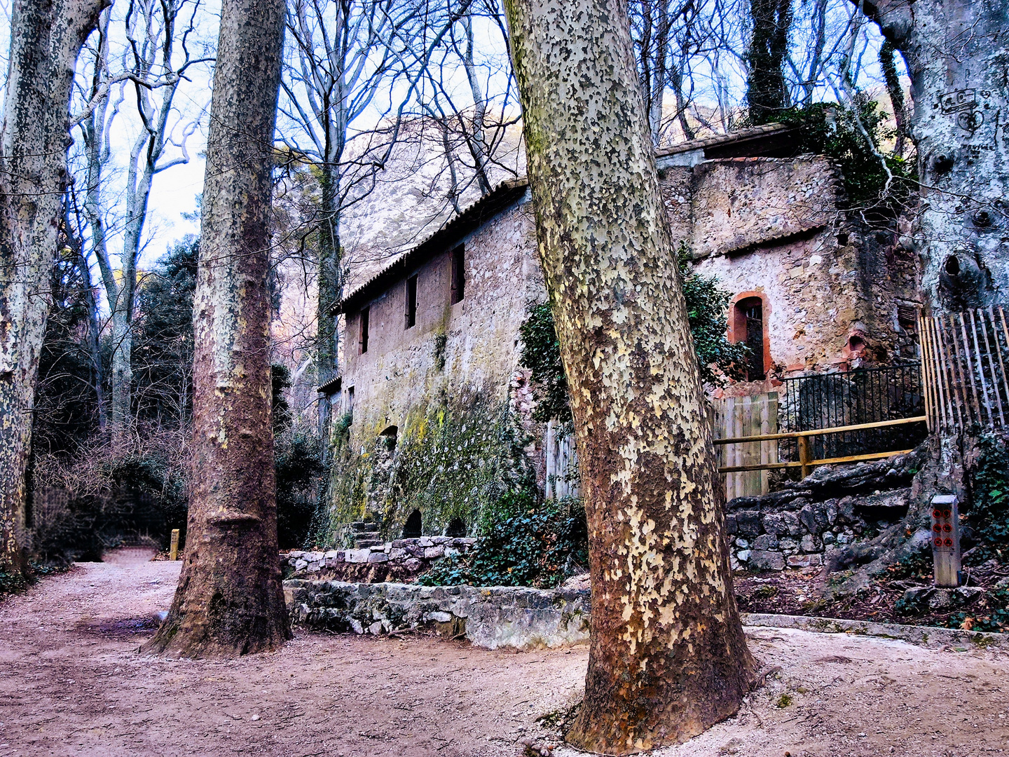 La maison dans le bois