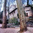 La maison dans le bois