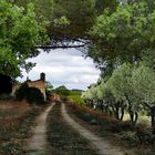 La maison dans le vignoble 