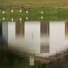 la maison dans l'eau !!