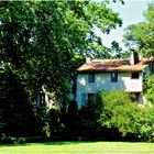 La maison dans les arbres