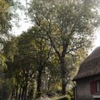 La maison dans les bois