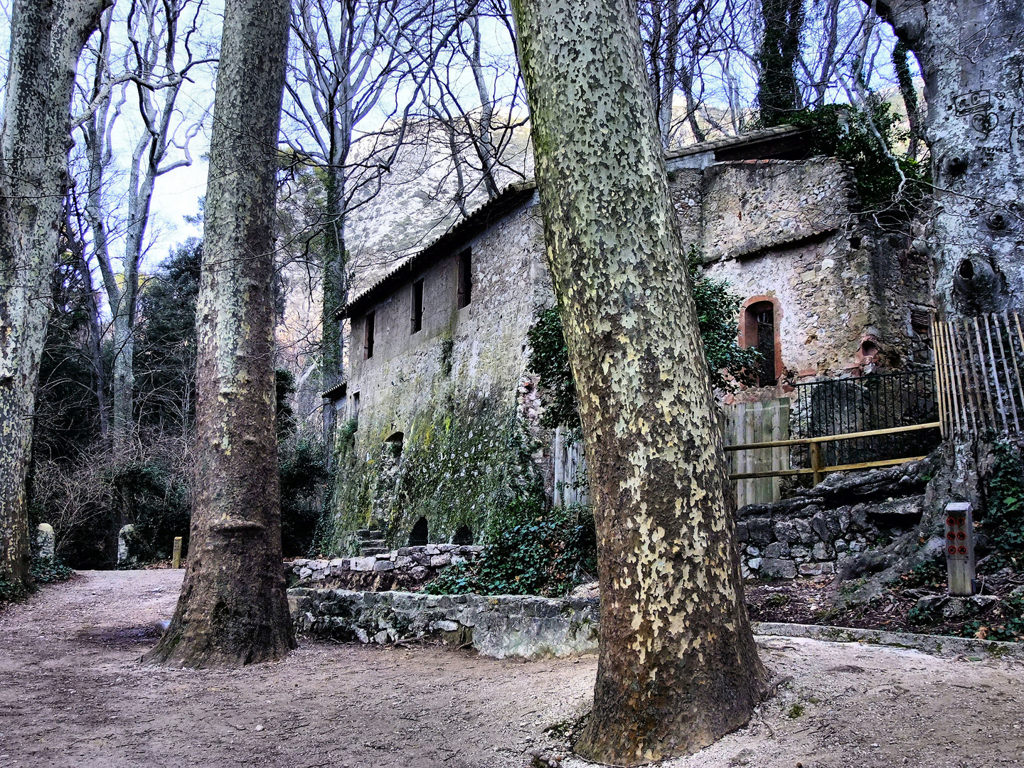 La maison dans les bois