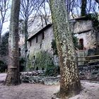 La maison dans les bois