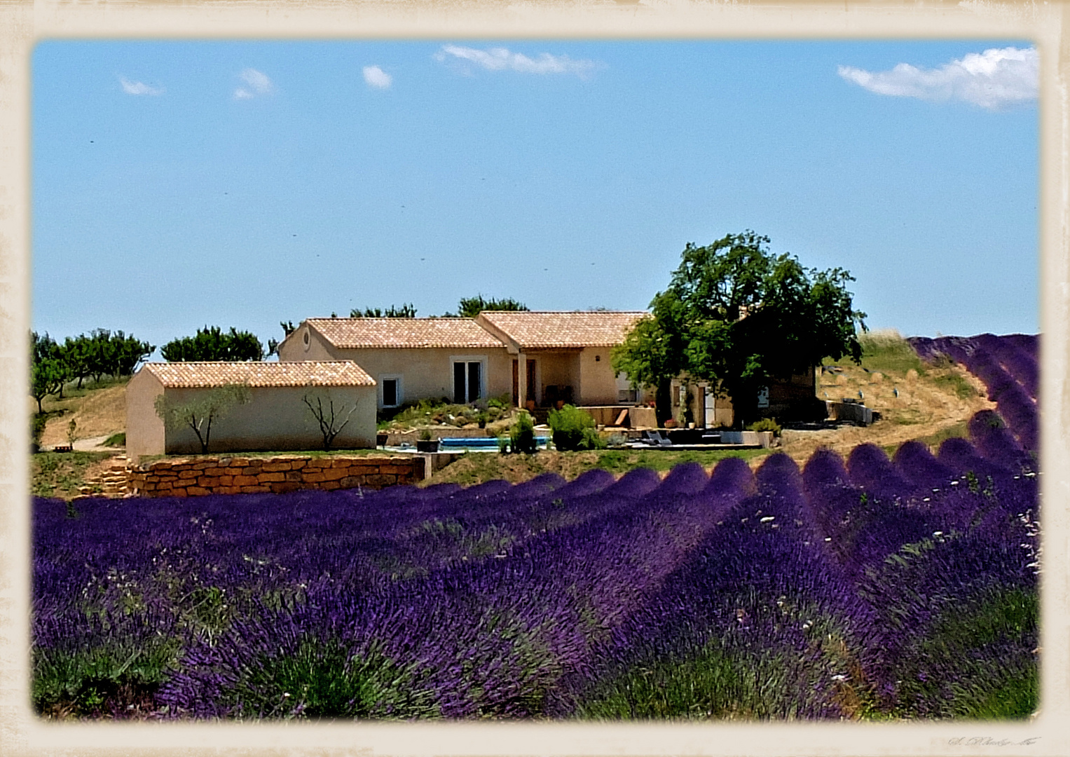 La maison dans les lavandes