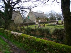 la maison de chaume