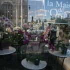 La Maison de l'Orchidèe