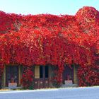 La maison de Polux !