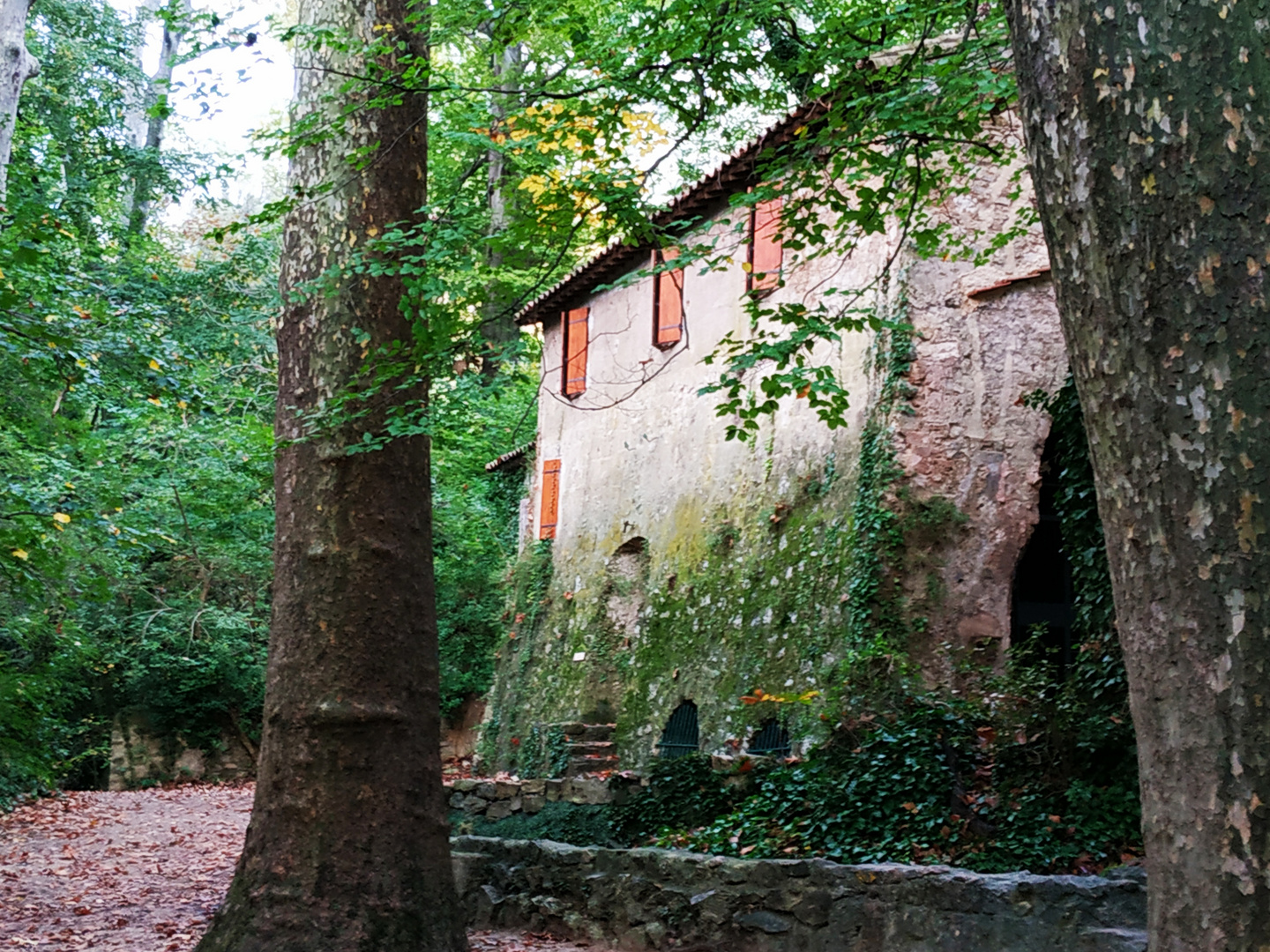 La maison des bois