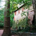 La maison des bois