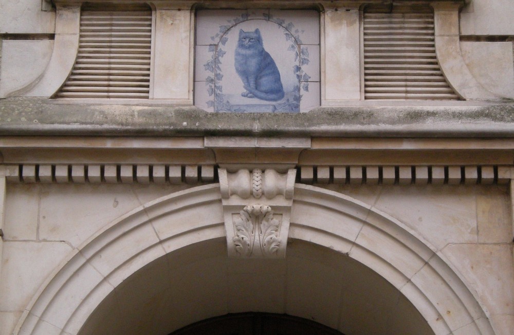 La maison des chats