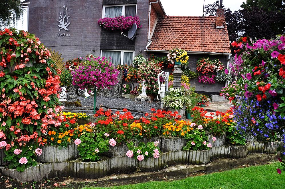 la maison des fleurs ...