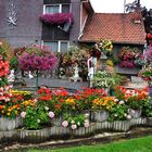 la maison des fleurs ...