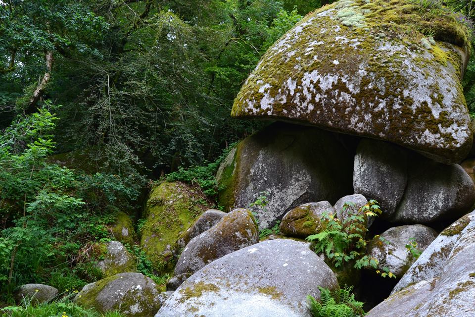 La maison des schtroumpfs