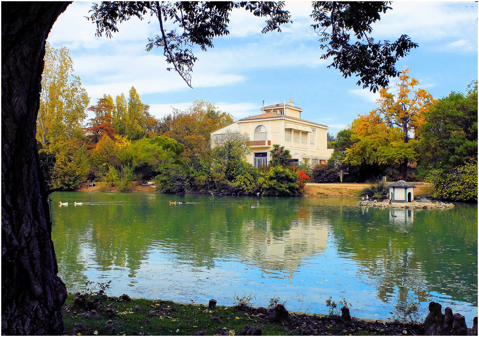 La maison du lac photo et image architecture, paysages urbains, les