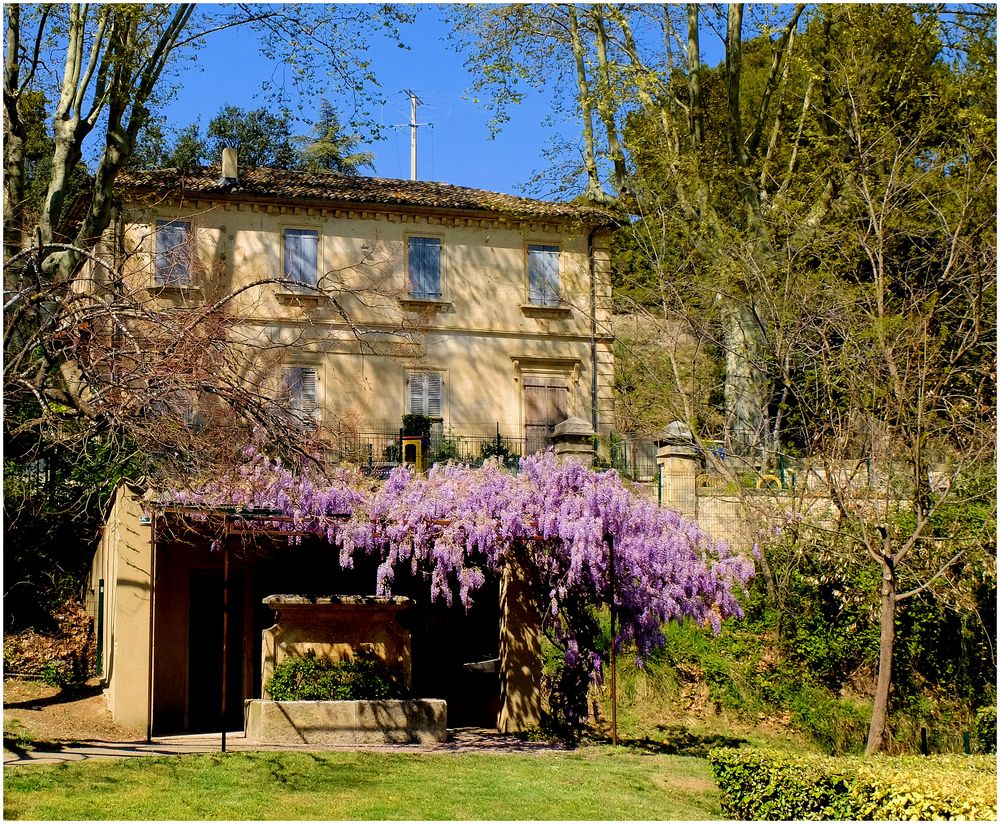 La maison oubliée