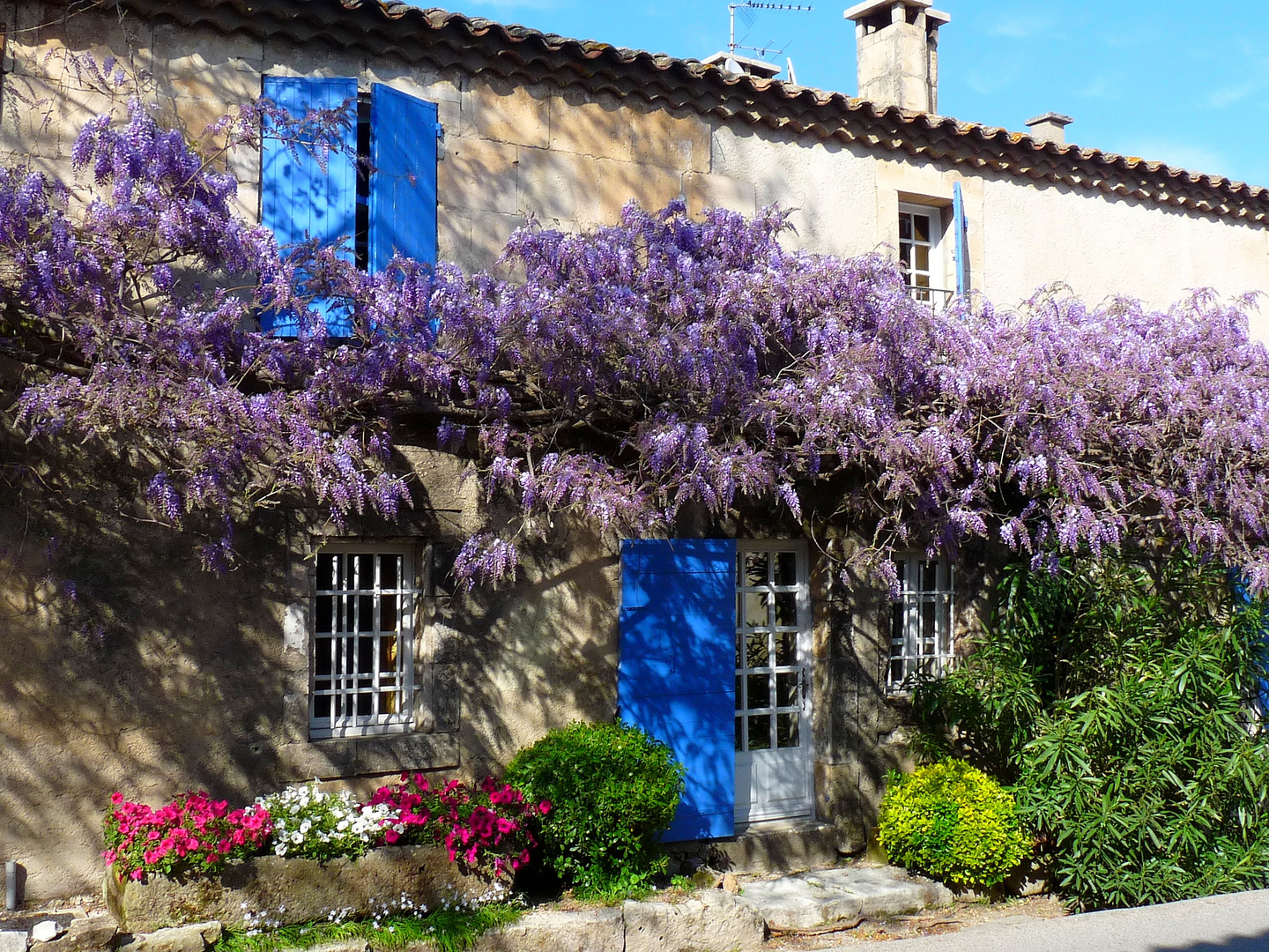 La Maison sous les glycines.