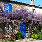 La Maison sous les glycines.