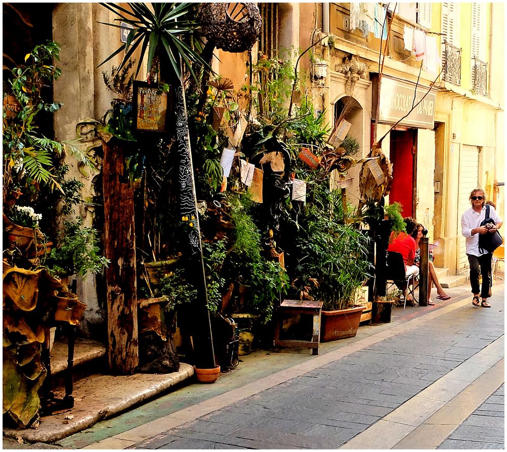 La maison sous les plantes