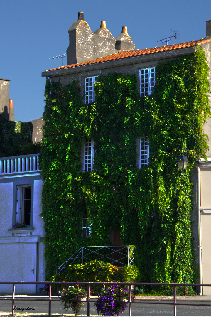 la maison verte