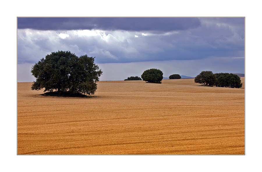 La Mancha