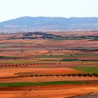 La Mancha Toledana.