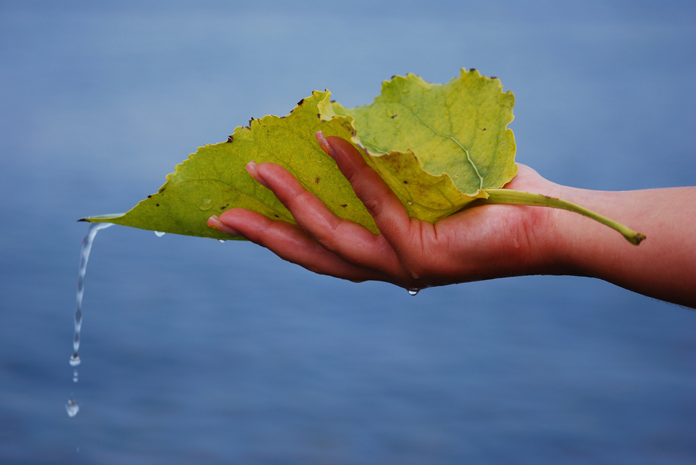 La mano della natura