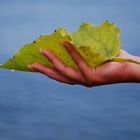 La mano della natura